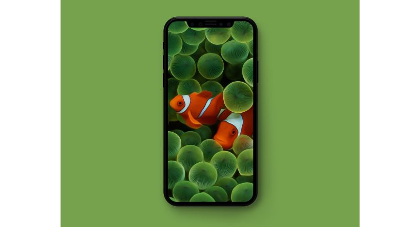 Original Apple wallpapers optimized for iPhone-featured
