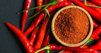 know-about-red-chilli-uses-benefits-side-effects
